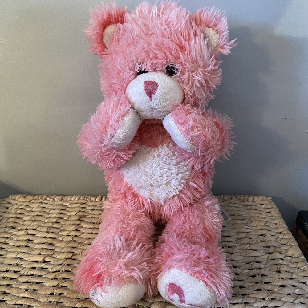 Build‎ A Bear Pink Heart Magnetic Hands & Cheeks Plush Growling Teddy Bear 16"